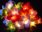 Theme Frangipani String Fairy lights